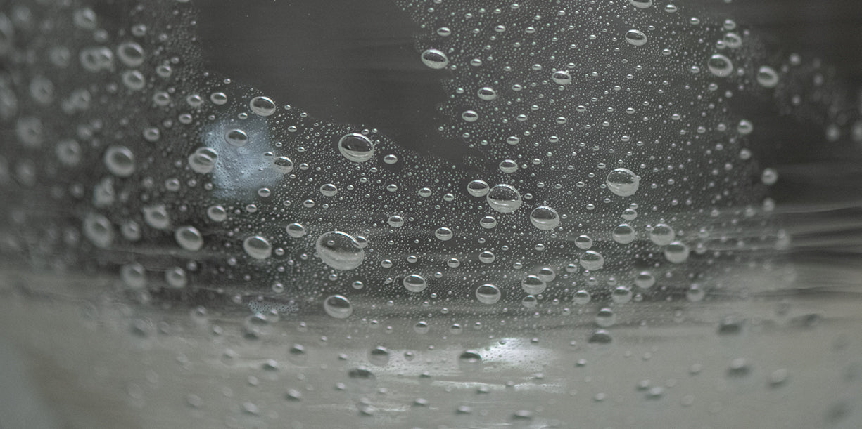 荒川尚也 – TENSHUDO｜SAKE × SHUWAN GALLERY